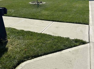 David H.'s Yard Cutting service result