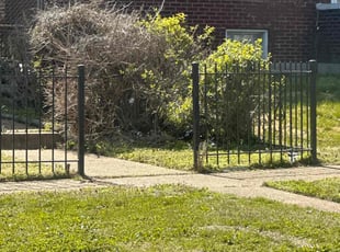 Bush Trimming by Howard Penn for Derek D. in St. Louis, MO