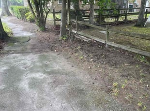 Leaf Removal by Bryan Oren for Bill W. in Virginia Beach, VA