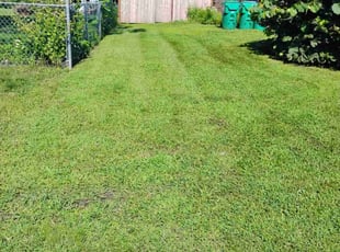 Audrina B.'s Yard Cutting service result