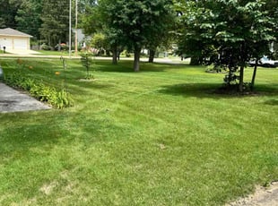 Christina H.'s Lawn Service service result