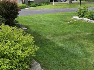 Julie Q.'s Yard Cutting service result