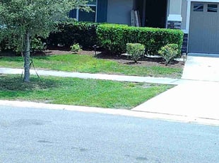 Bush Trimming by Robert Nelams for Cyrus I. in Okahumpka, FL