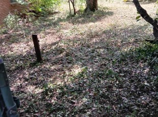Cleanups by Ana Zelaya for Rex G. in Houston, TX