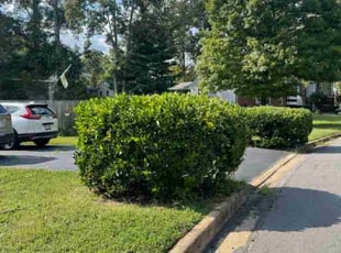 Bush Trimming by Joshua West for Clarence T. in Richmond, VA