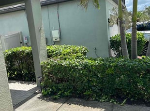 Bush Trimming by Corey Johnson for Ryan G. in Riverview, FL