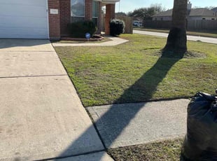 Bush Trimming by Willie Lagard for Isela V. in Houston, TX