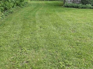 Taylor A.'s Lawn Service service result