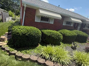 Bush Trimming by Aron Lewis for Debra M. in Dayton, OH