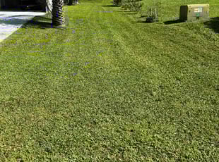 John O.'s Lawn Service service result