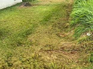 Cleanups by Jose Disla; for Allison M. in Poinciana, FL