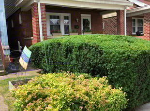 Bush Trimming by John Parshall for Naima V. in Pittsburgh, PA