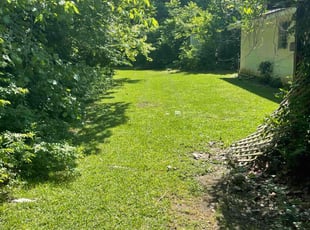 Kathy B.'s Lawn Service service result