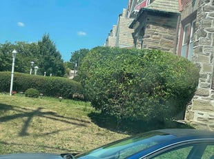 Bush Trimming by Deven Coles for Margaret G. in Philadelphia, PA