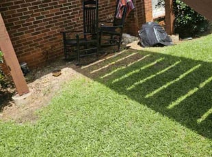 Rosetta P.'s Lawn Maintenance service result
