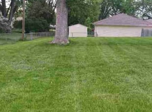 Weeding by Abigial Klar for Sarah M. in Minneapolis, MN