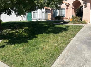 Tammy C.'s Grass Cutting service result
