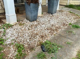 Weeding by Christopher Welch for Ian N. in Atlanta, GA