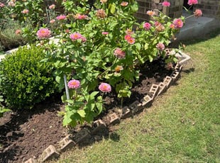 Weeding by Noah Fiechtner for Sophie Z. in Austin, TX
