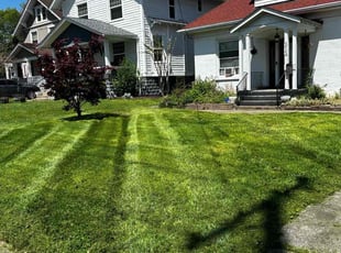 Chris R.'s Lawn Mowing Service service result
