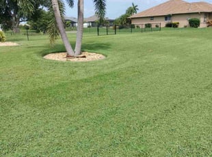Nannette F.'s Yard Cutting service result