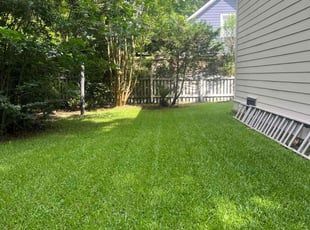 William S.'s Lawn Maintenance service result