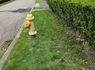 Brandon A.'s Lawn Care service result