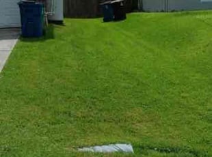 Linda G.'s Lawn Care service result