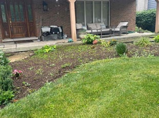 Cleanups by Brooke Ardoin for Sandra G. in Naperville, IL
