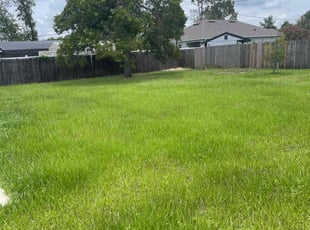 Darrell W.'s Yard Cutting service result
