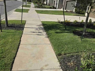 Erika N.'s Lawn Maintenance service result