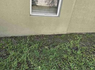 Leaf Removal by Rolando Mojica Betancourt for Abin S. in Kissimmee, FL