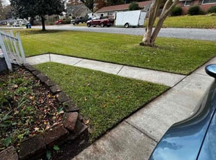 Leaf Removal by Derek Walker for Analia O. in Virginia Beach, VA