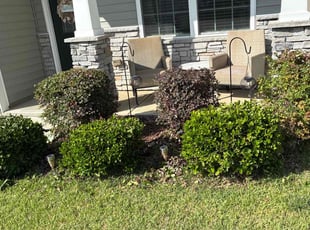 Bush Trimming by Amanda Carter for Rosemarie T. in Clayton, NC