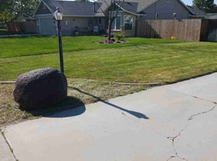 Lydia E.'s Lawn Service service result
