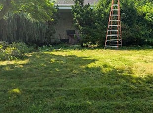 Cleanups by Genny Machado for David G. in Port Washington, NY