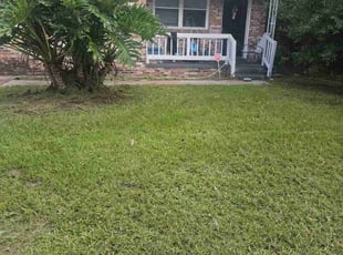 Jennifer H.'s Lawn Mowing service result