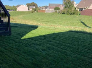 Christine P.'s Yard Cutting service result