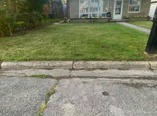 Ashley H.'s Lawn Mowing service result