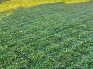 Eric C.'s Lawn Care service result