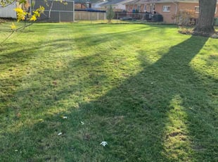 Leaf Removal by Walter Nowak for Adam T. in Georgetown Township, MI