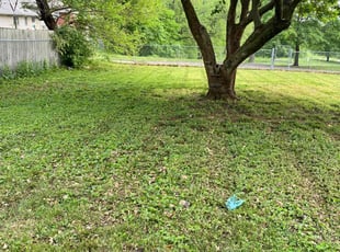 Leaf Removal by Garrick Murphy for Wanda M. in Raytown, MO