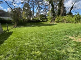 Ron W.'s Lawn Mowing Service service result