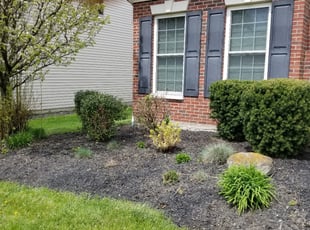 Cleanups by Eugene Makowski for Nada A. in Strongsville, OH