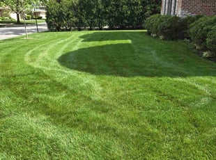 Roosevelt E.'s Lawn Service service result