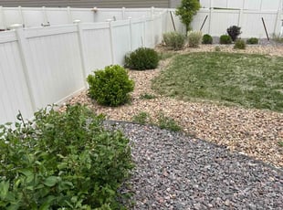 Bush Trimming by Jesse Nunez for Mindy B. in Parker, CO