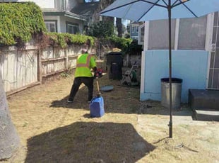 Cleanups by Brenden Henderson for Carolyn L. in Riverside, CA