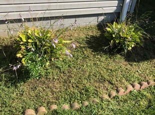 Weeding by Charles Hubbard for Nathan J. in Cleveland, OH