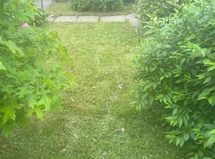Kay B.'s Lawn Maintenance service result