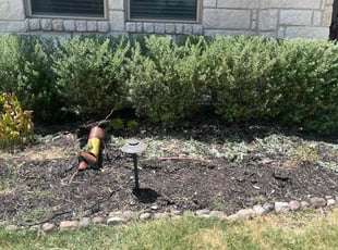 Bush Trimming by Eliseo Guerrero RamÃrez for Rochelle C. in Leander, TX